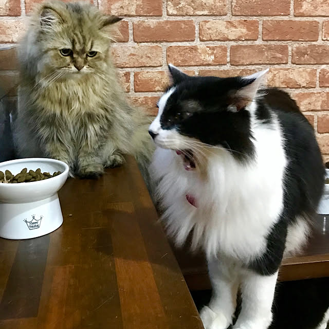 butachanさんの実例写真
