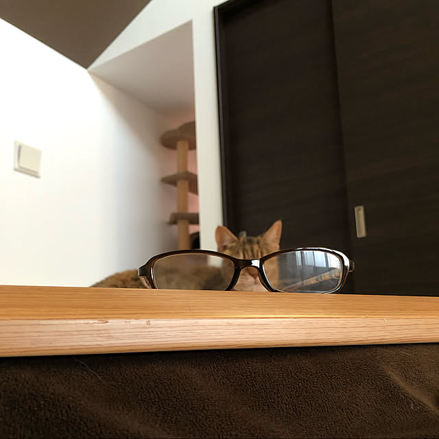 meloさんの実例写真