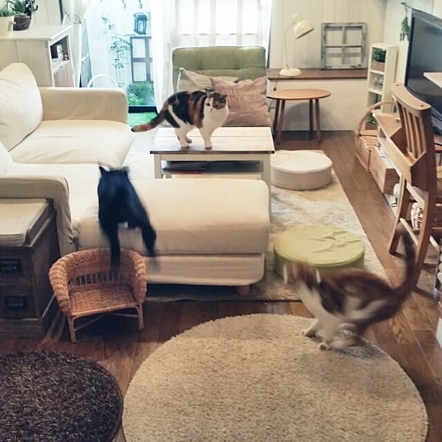 mikiさんの実例写真
