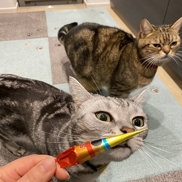 NANACOCOさんの実例写真