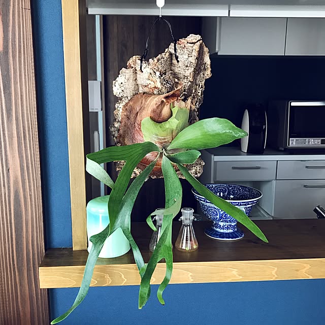 syohranさんの実例写真