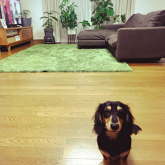 yukoさんの実例写真