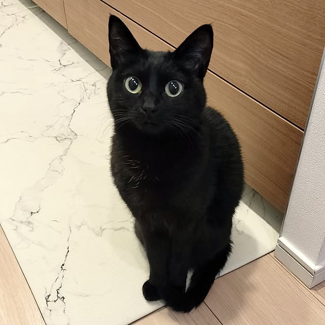 sakuraさんの部屋