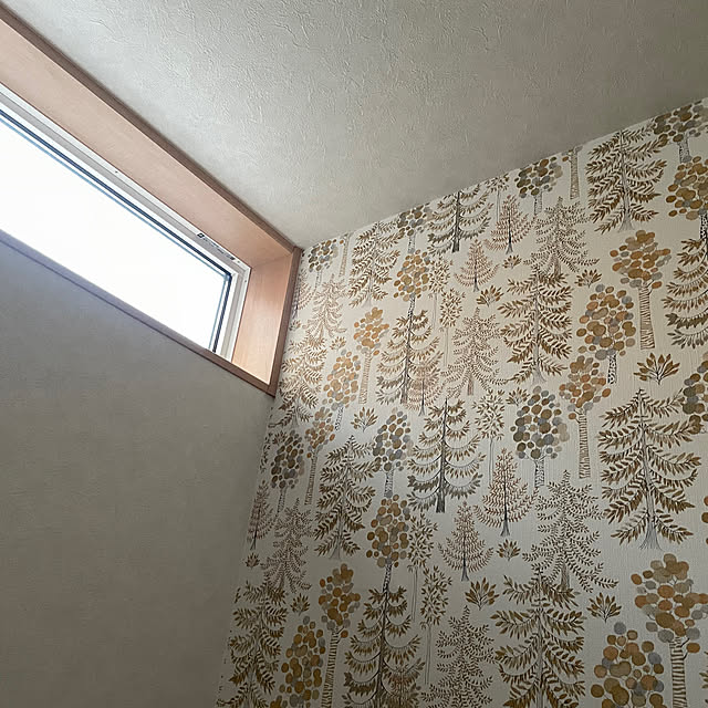 kot.3さんの実例写真