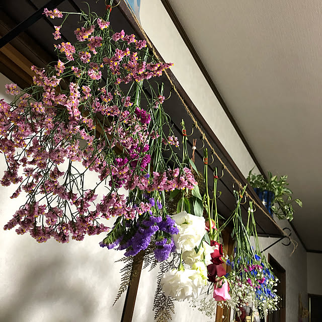 runaさんの実例写真