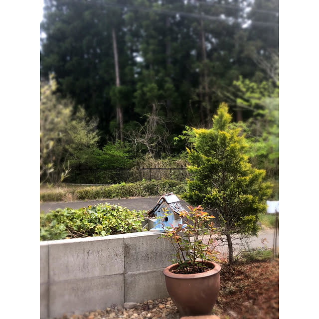 ponponHOUSEさんの実例写真