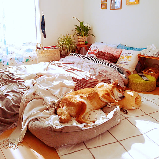 Soraさんの実例写真