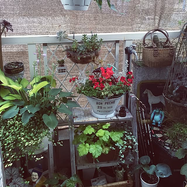 happy0612さんの実例写真