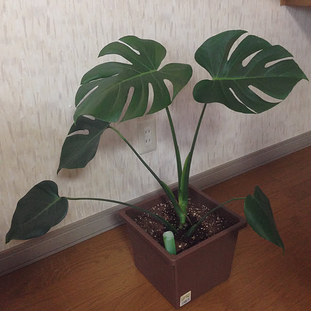 mebiさんの実例写真