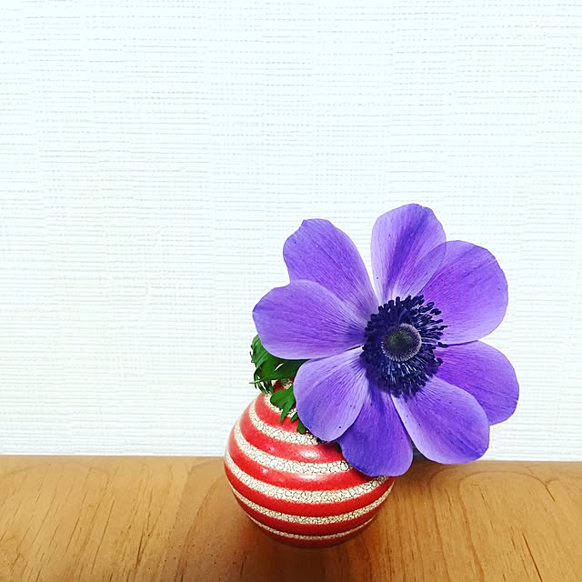 gordon.thomas.percyさんの実例写真