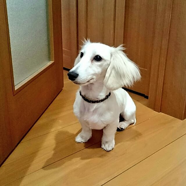 0117_erikaさんの実例写真