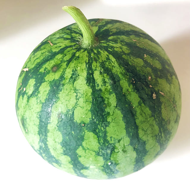 tomoさんの実例写真