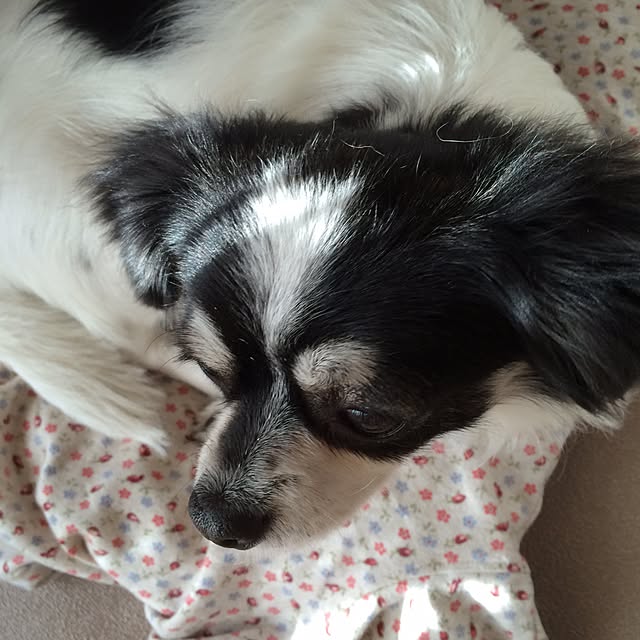 yukkoさんの実例写真