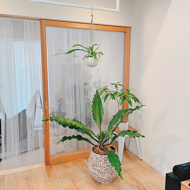 YUKOさんの部屋