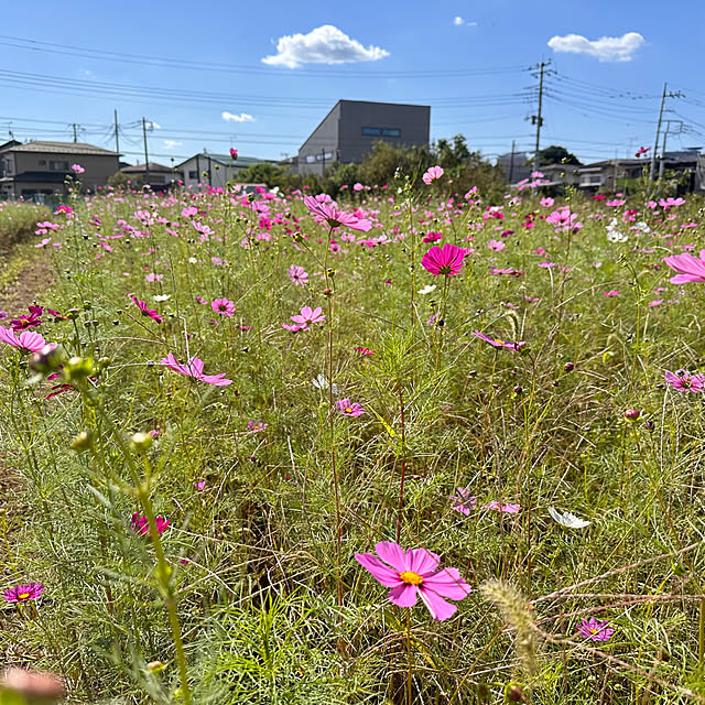 mizucchiさんの部屋