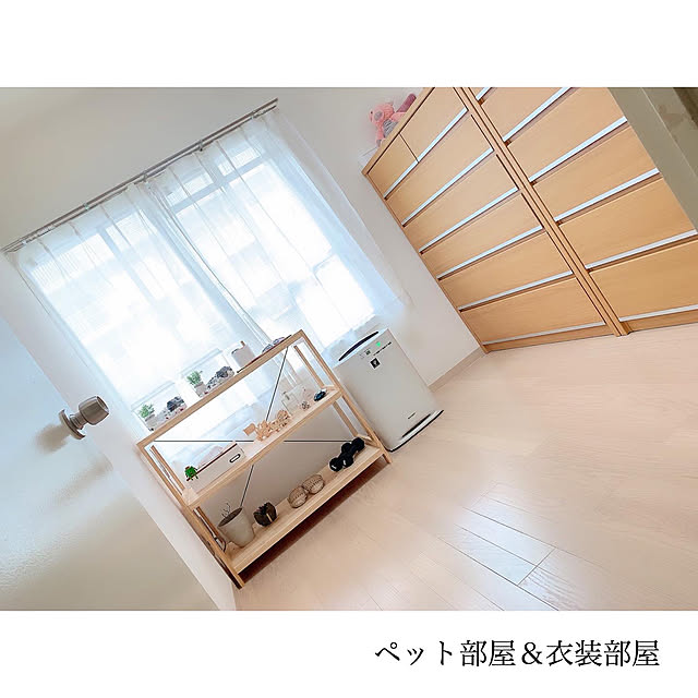 chaluさんの実例写真