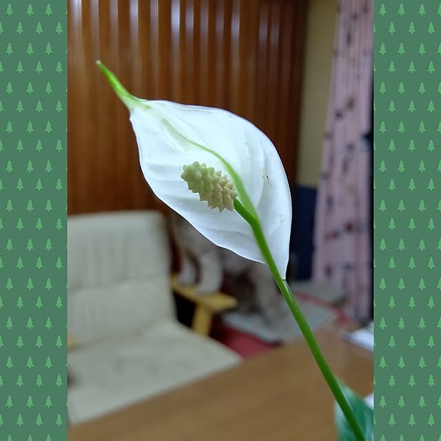 yumirinさんの部屋