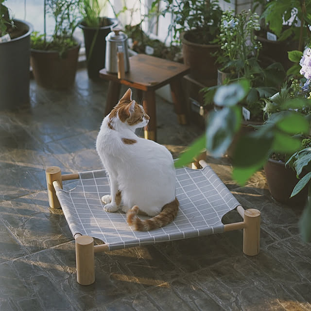 一人暮らし/部屋全体のインテリア実例 - 2020-05-09 11:24:51