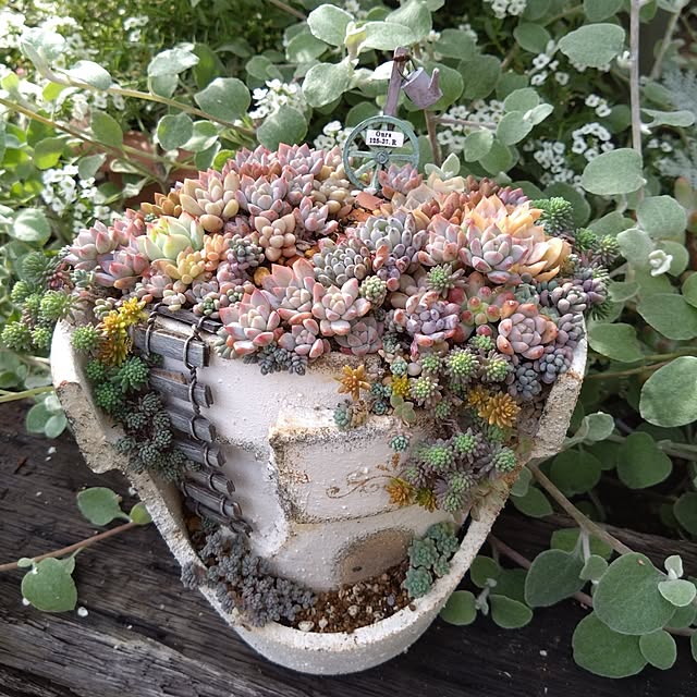 mamaさんの実例写真