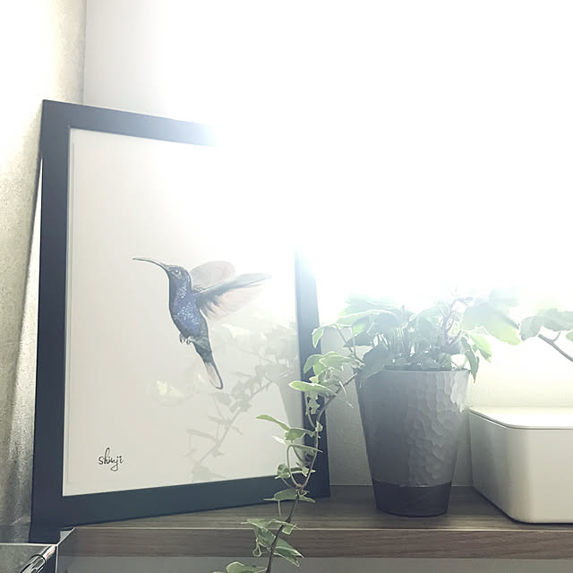 mnkさんの実例写真