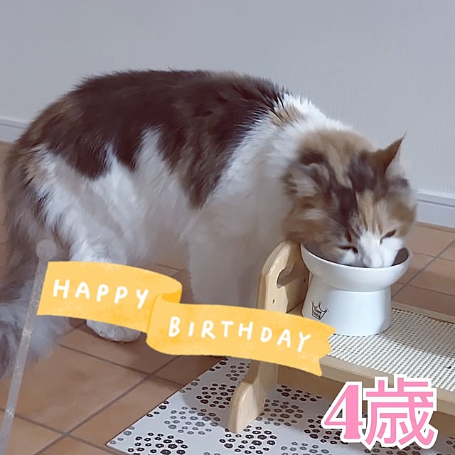 +CHIHARU+さんの実例写真