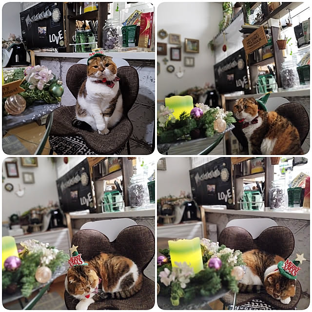 hiro3さんの実例写真