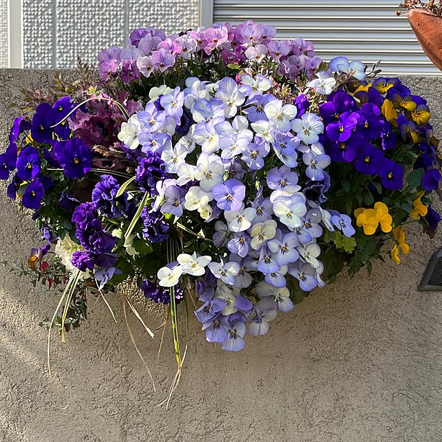 yukarin-gardenさんの実例写真