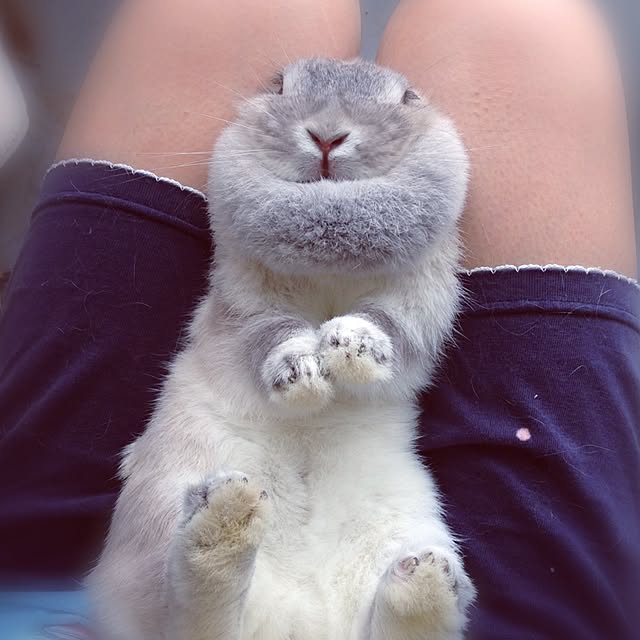 yokomokoさんの実例写真