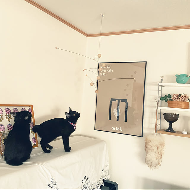 ayutaxさんの実例写真