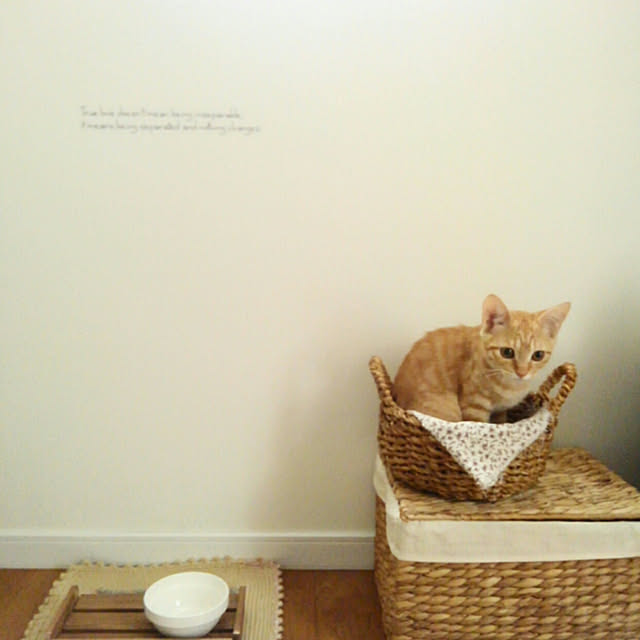 mayutan.さんの実例写真