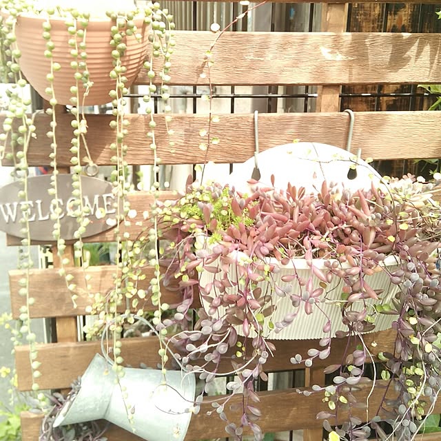 VERANDARJUNさんの実例写真