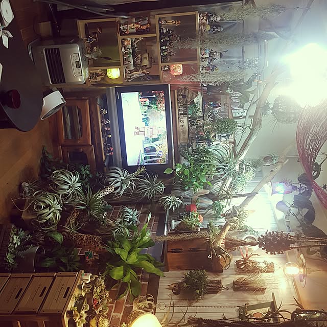 部屋全体のインテリア実例 - 2015-12-09 23:08:40