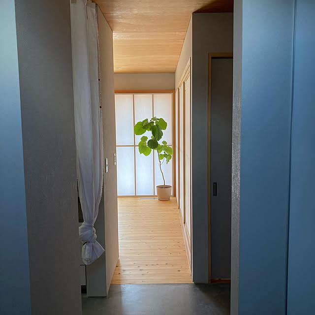 hamさんの実例写真