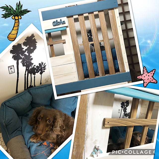 Alohaさんの実例写真