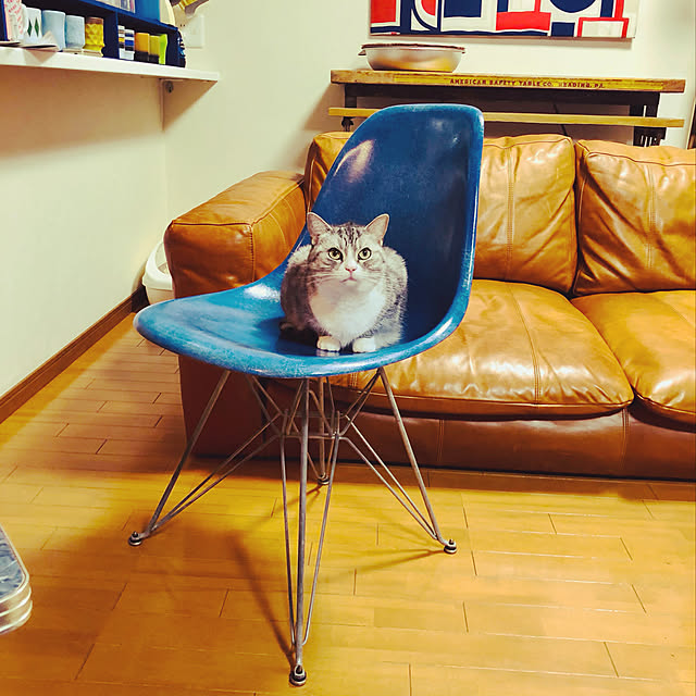 Shojiさんの実例写真