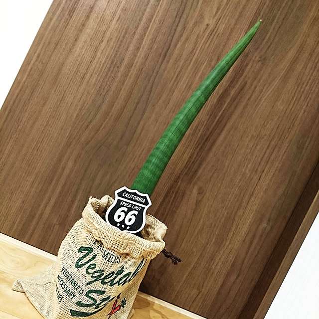 katcaさんの実例写真