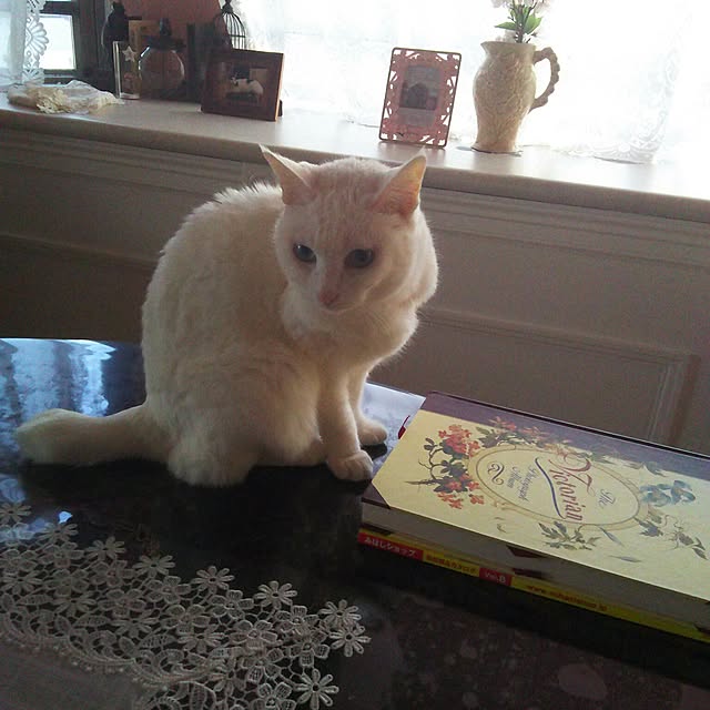sakuraさんの実例写真