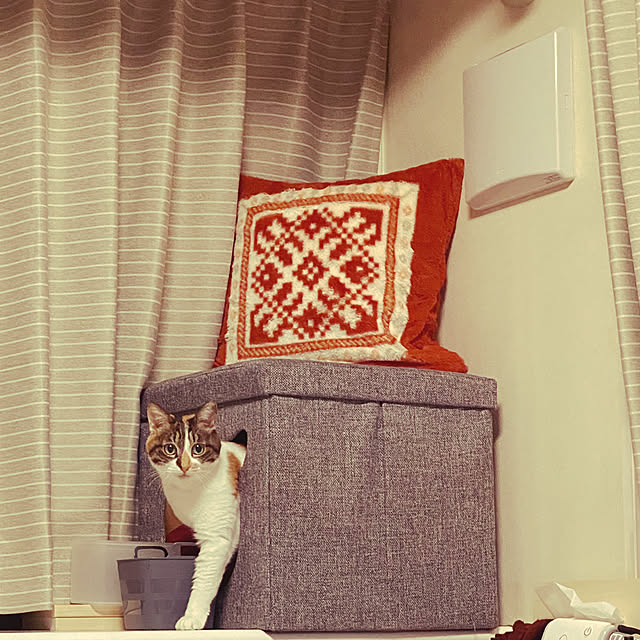 zinさんの実例写真