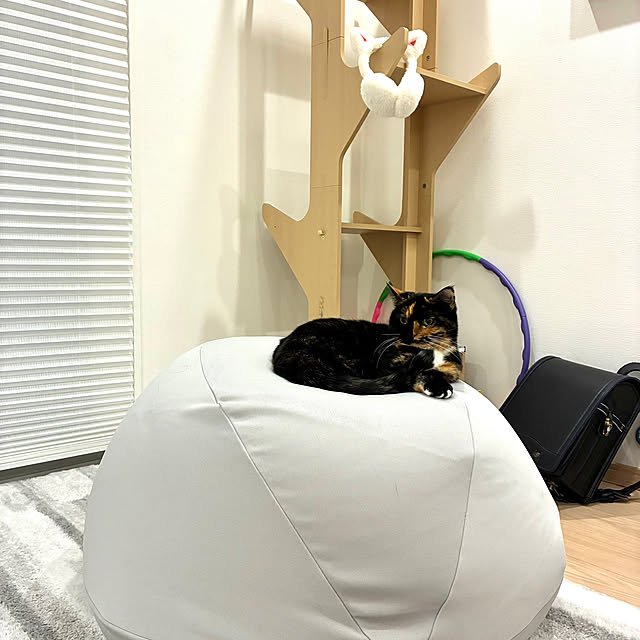 kirinsanさんの部屋