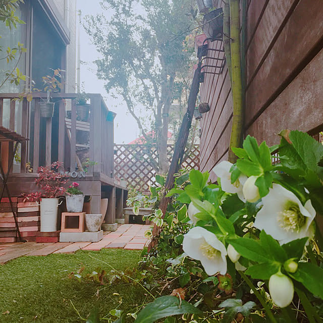 risaさんの実例写真