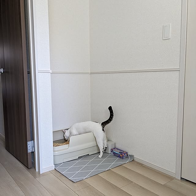 kumiさんの部屋