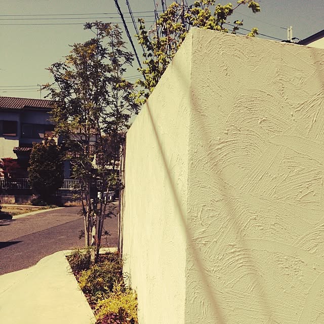 壁/天井/外壁/シマトネリコのインテリア実例 - 2014-04-15 11:03:23