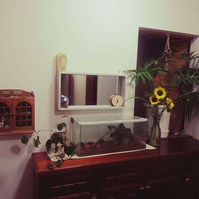 実例写真