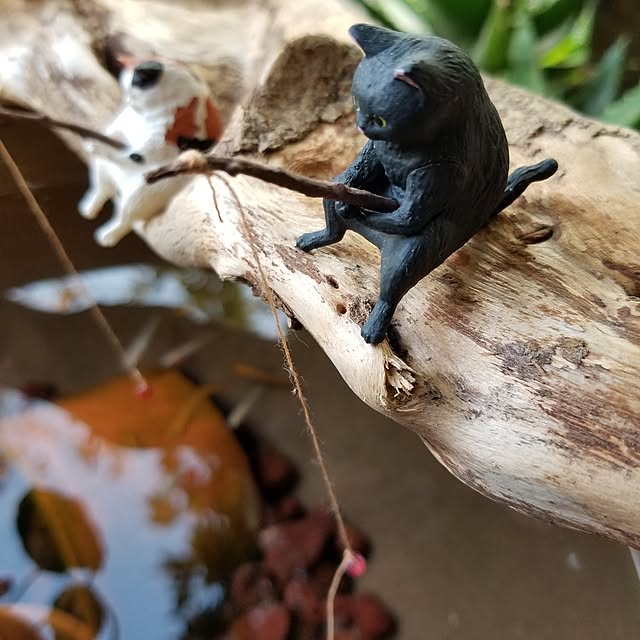 midoriさんの実例写真