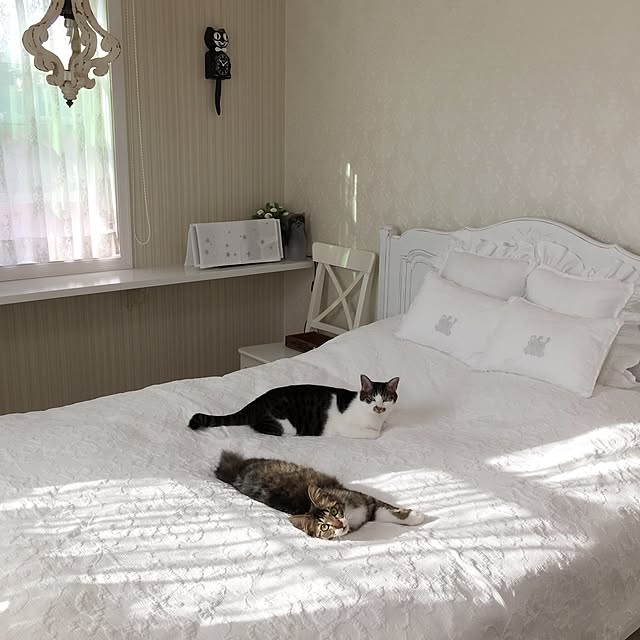 yuchiさんの実例写真