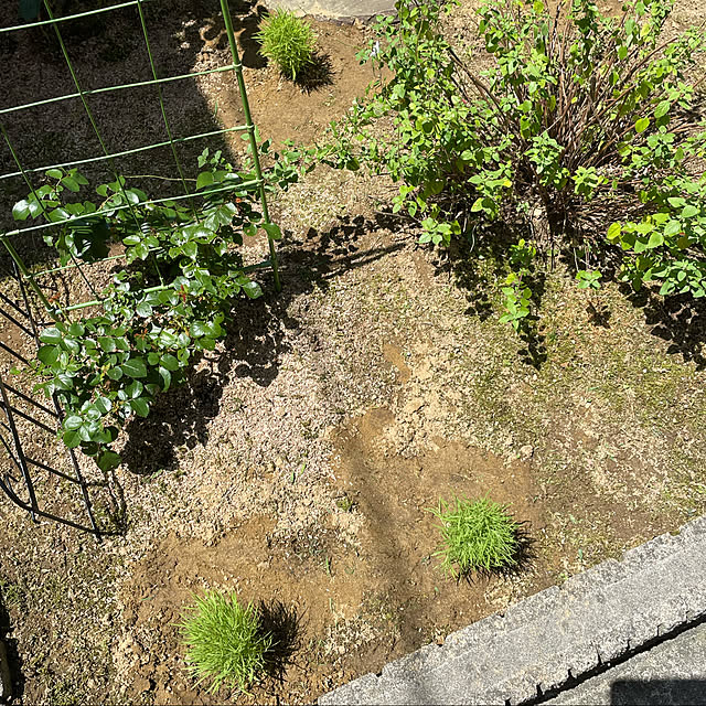 kakoさんの実例写真