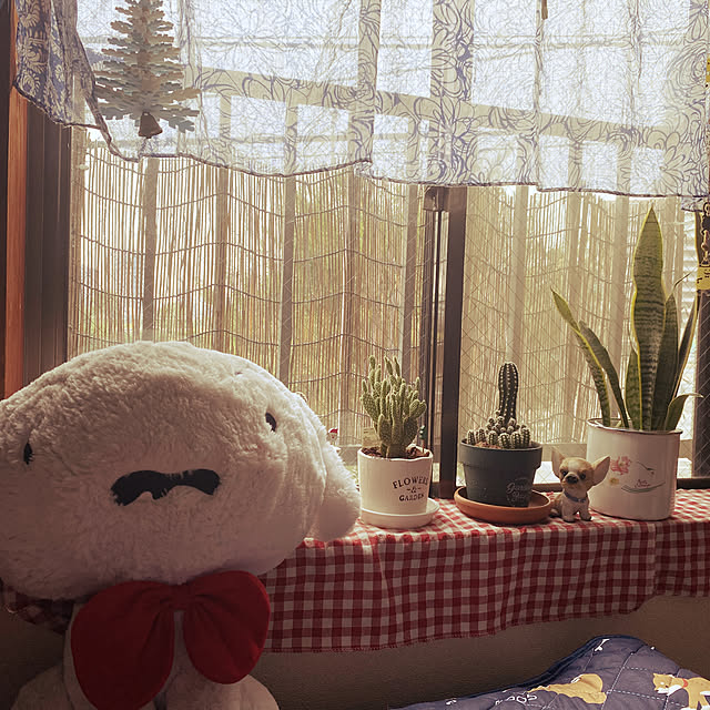 ダイソー/観葉植物/ベッド周りのインテリア実例 - 2022-09-26 09:26:16
