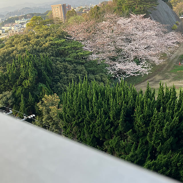 koshiregutyoさんの実例写真