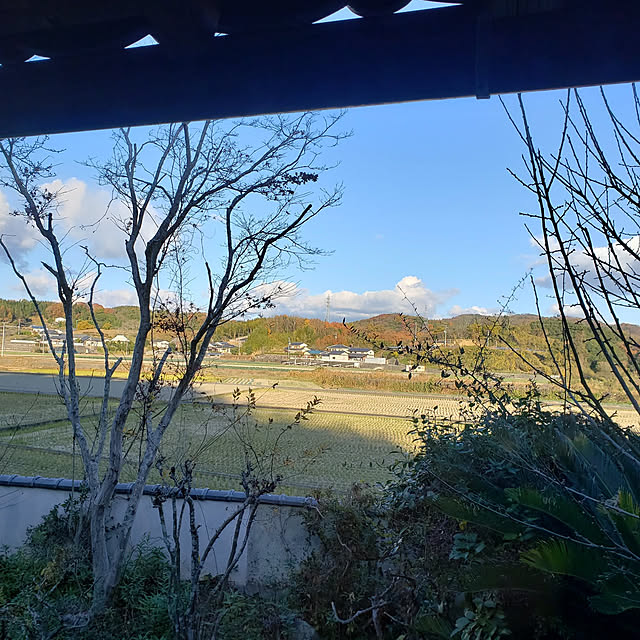 3131さんの実例写真