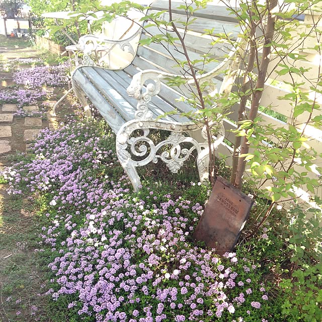 matricariaさんの実例写真